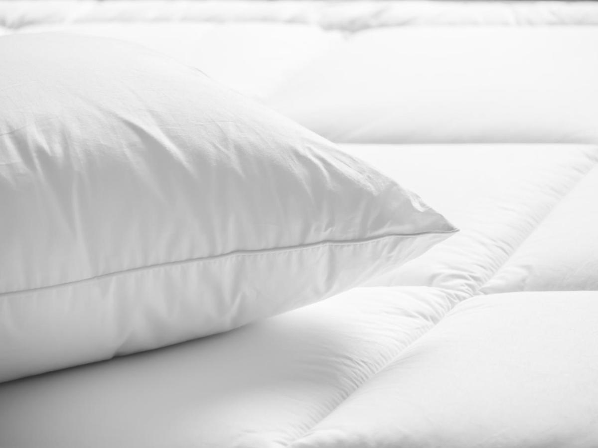 Courtyard By Marriott Springfield Airport Hotel Bagian luar foto